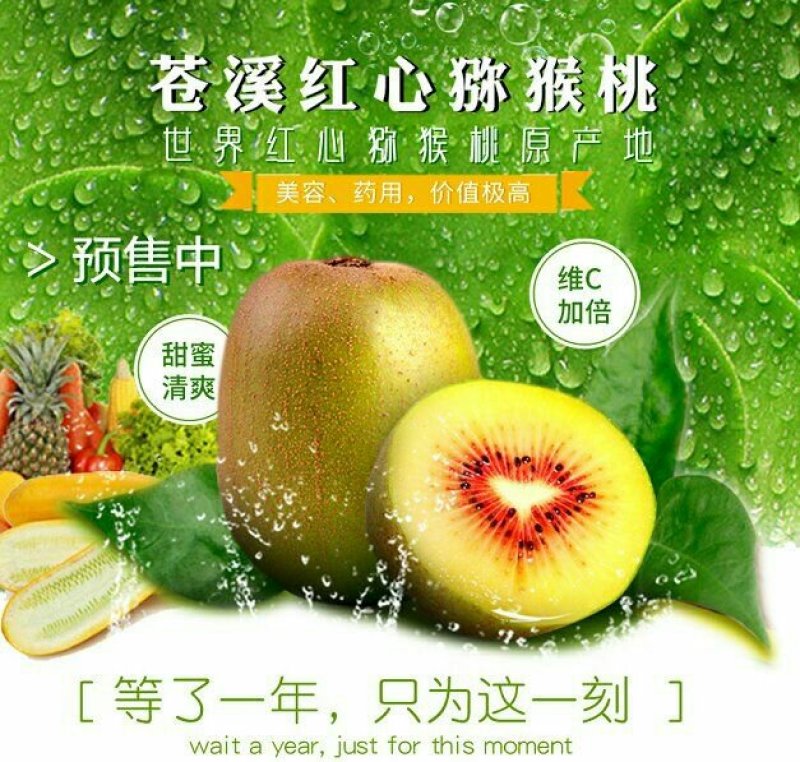 一件代发苍溪红心猕猴桃包邮也可组织代办地头价可讲