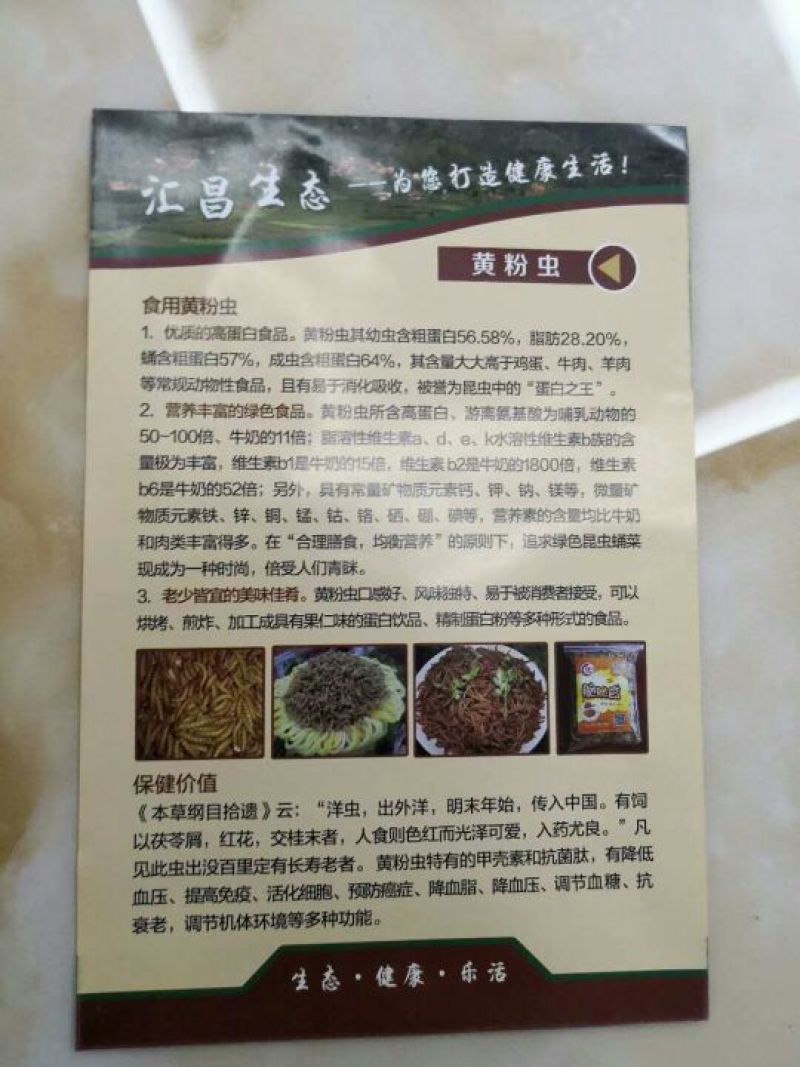 黄粉虫