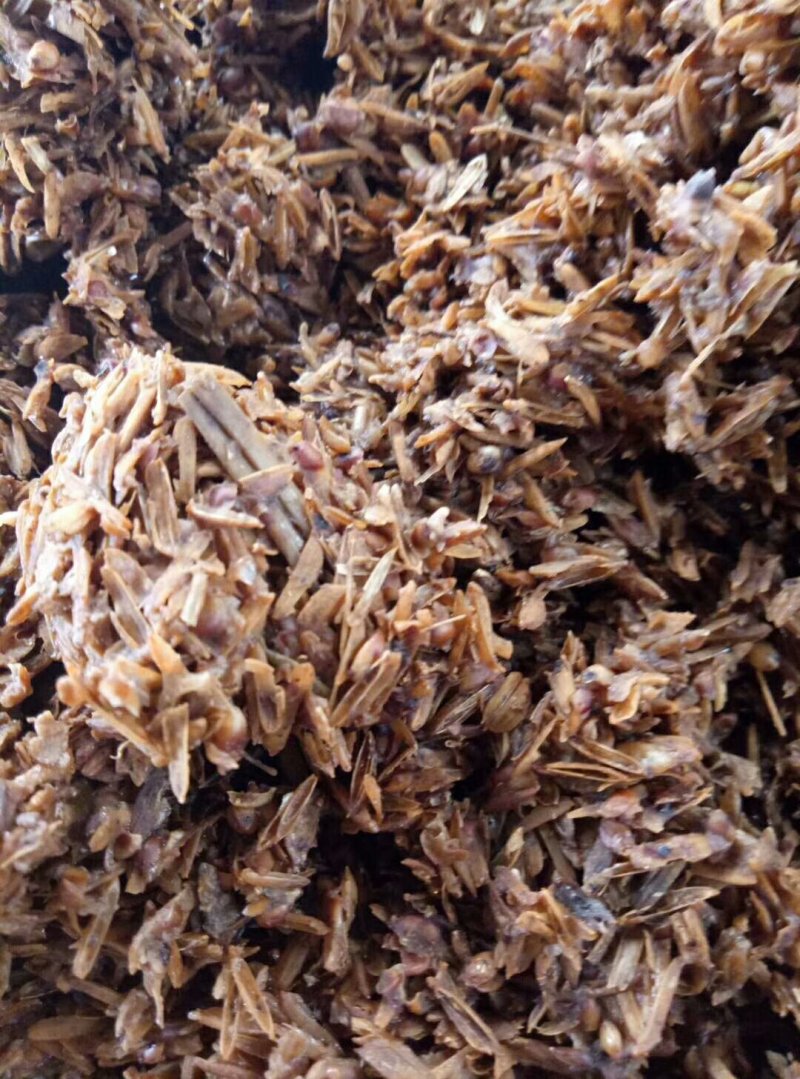 大量出售优质鲜酒糟，干酒糟，