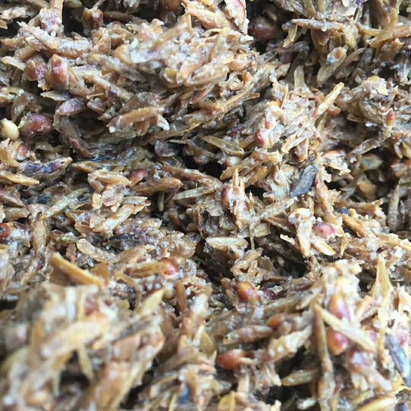 大量出售优质鲜酒糟，干酒糟，