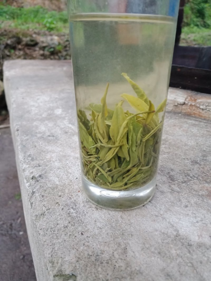 绿茶，都匀毛尖绿茶，2级。