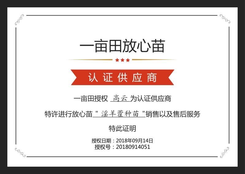 淫羊藿种苗基地直销甘肃省陇南市发货中药材种苗优选健康新鲜