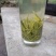 绿茶，都匀毛尖绿茶100克铁盒装，一级
