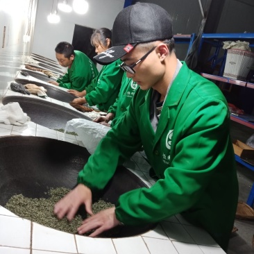 绿茶纯手工都匀毛尖，250克装
