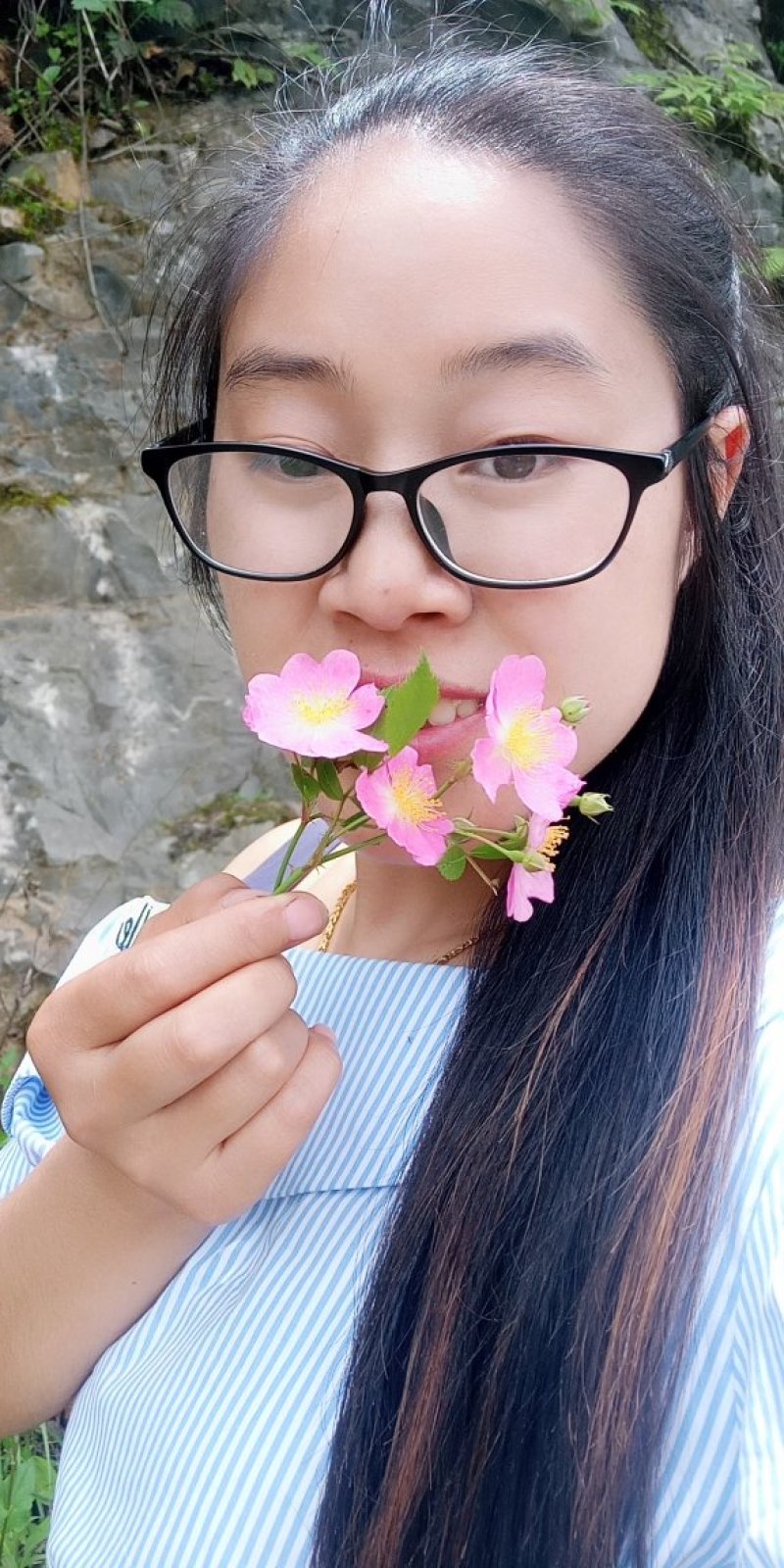 开到荼蘼花事了山蔷薇花野蔷薇花悬钩子蔷薇花攀援蔷薇花苗野