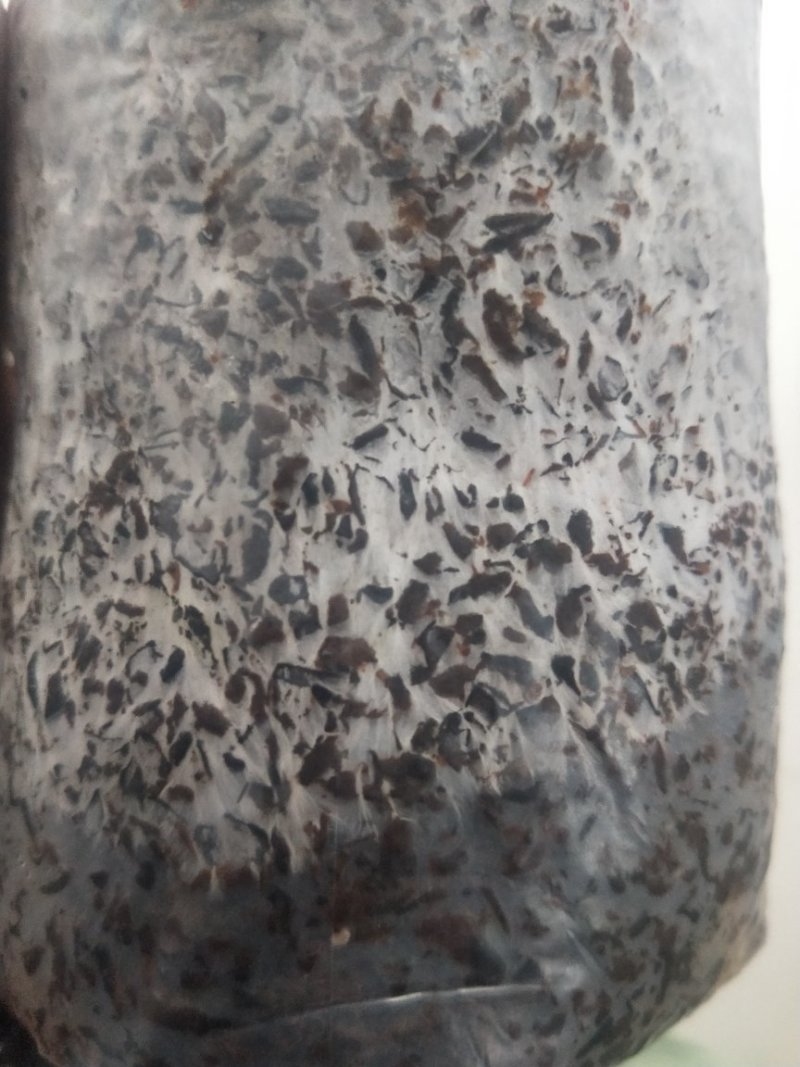 高产优质棉壳掺玉米芯菌包