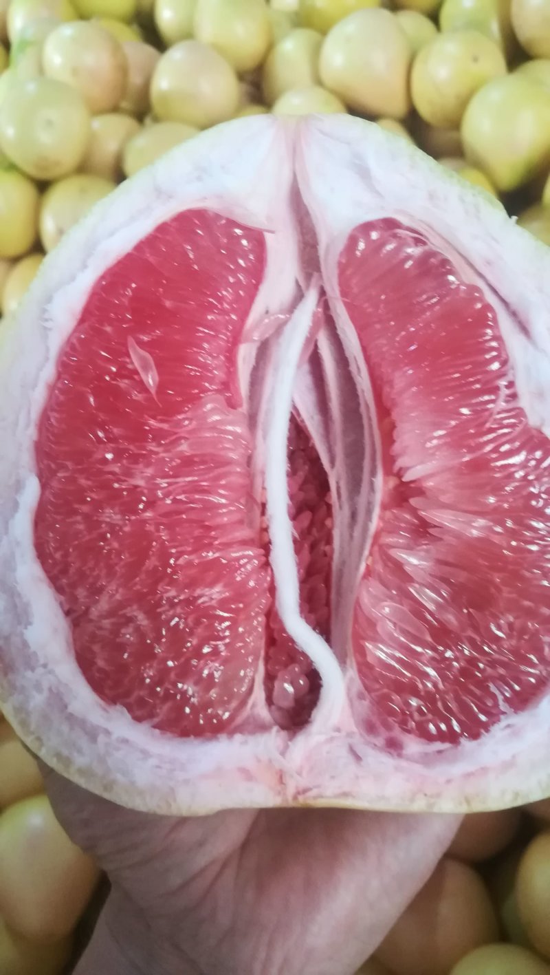 平和蜜柚，红肉，白柚，三红柚橙肉蜜柚