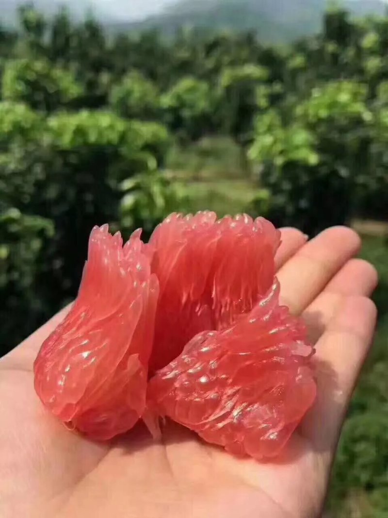 平和红肉蜜柚，两个五斤装包邮