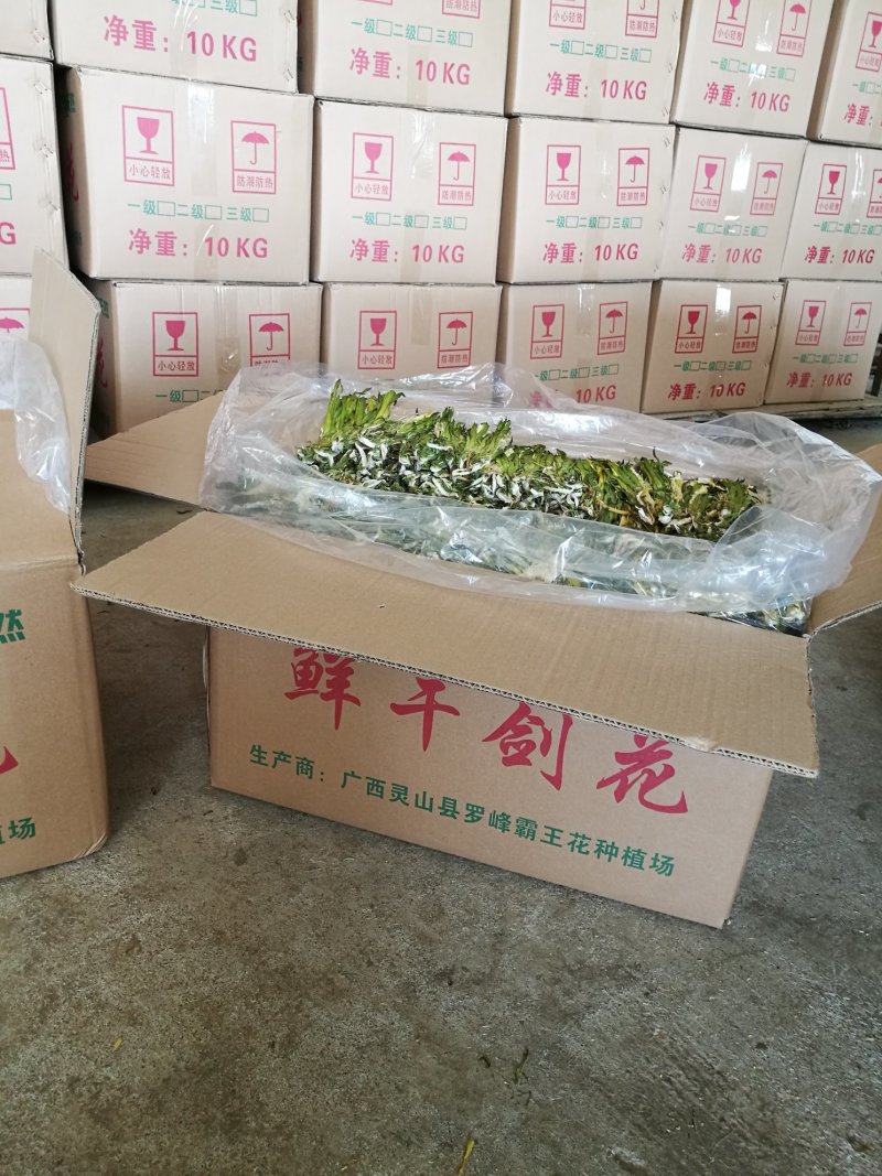 【爆款】广西农家新品干剑花(新鲜霸王花干)保质保量