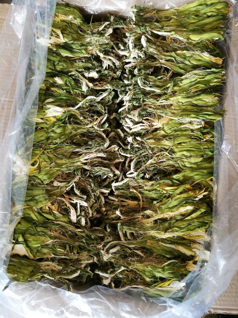 【爆款】广西农家新品干剑花(新鲜霸王花干)保质保量