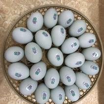 绿壳鸡蛋食用40~50g