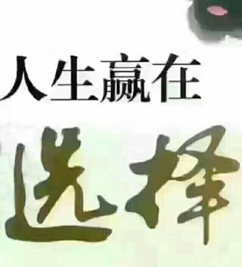 奶油南瓜