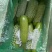 精品蔬菜