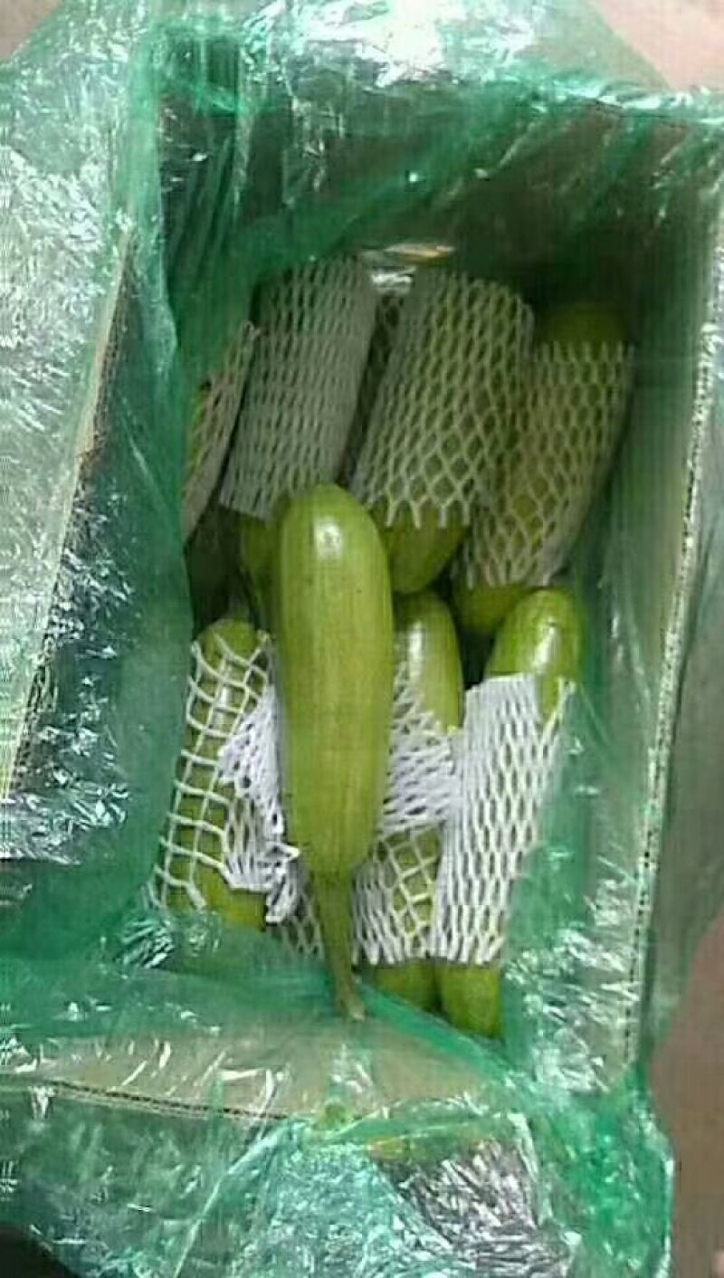 精品蔬菜