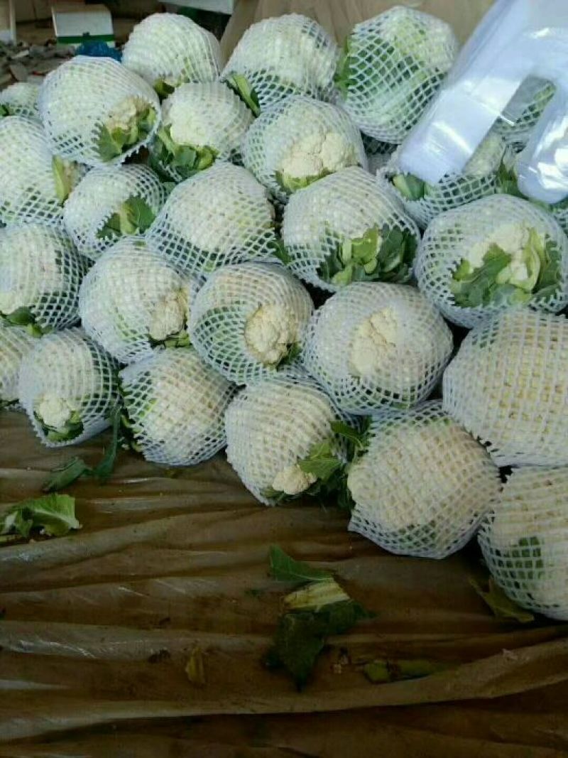 精品蔬菜