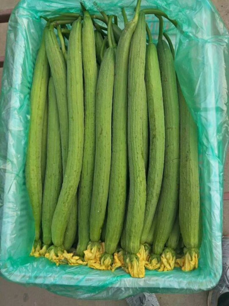 精品蔬菜