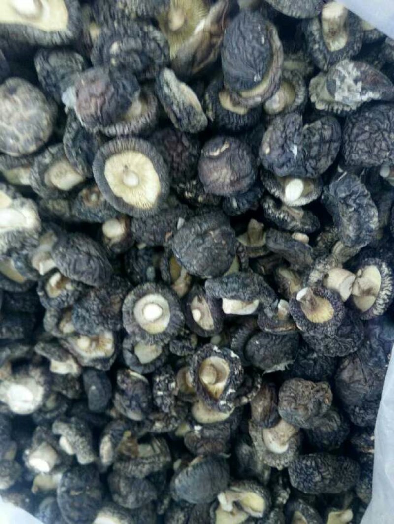 包邮干香菇量大从优。黑面菇（纯自然生长，香浓肉嫩）