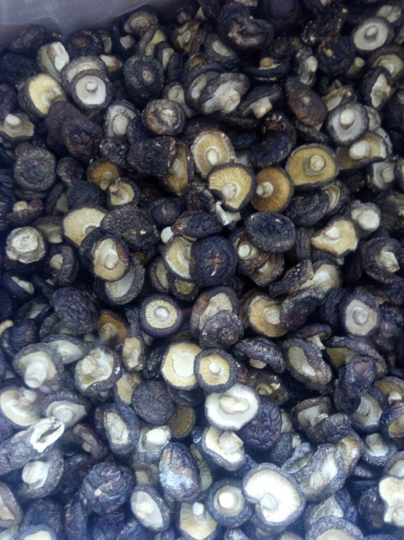 包邮干香菇量大从优。黑面菇（纯自然生长，香浓肉嫩）