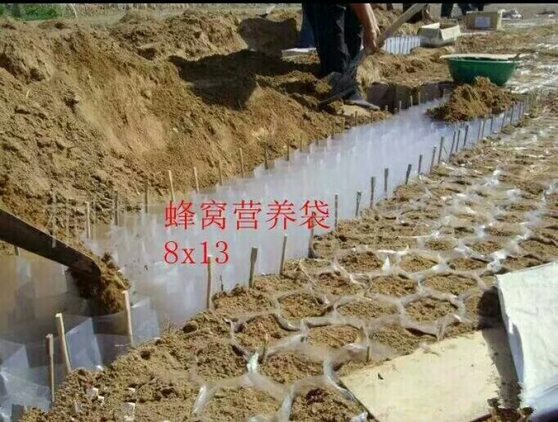 无纺布育苗袋、美植袋、蜂窝袋