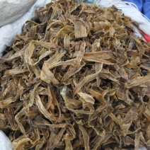 地龙蚯蚓皮原药材无硫无添加净货中药材批发零售