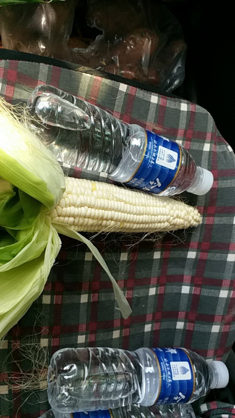 新鲜白糯玉米