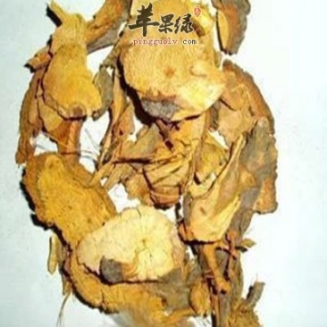 虎杖碎片收购