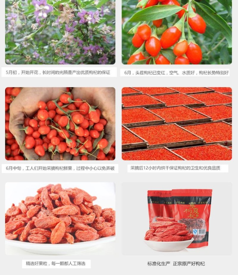 中宁枸杞子宁夏特级大粒头茬果养生补气250g/袋