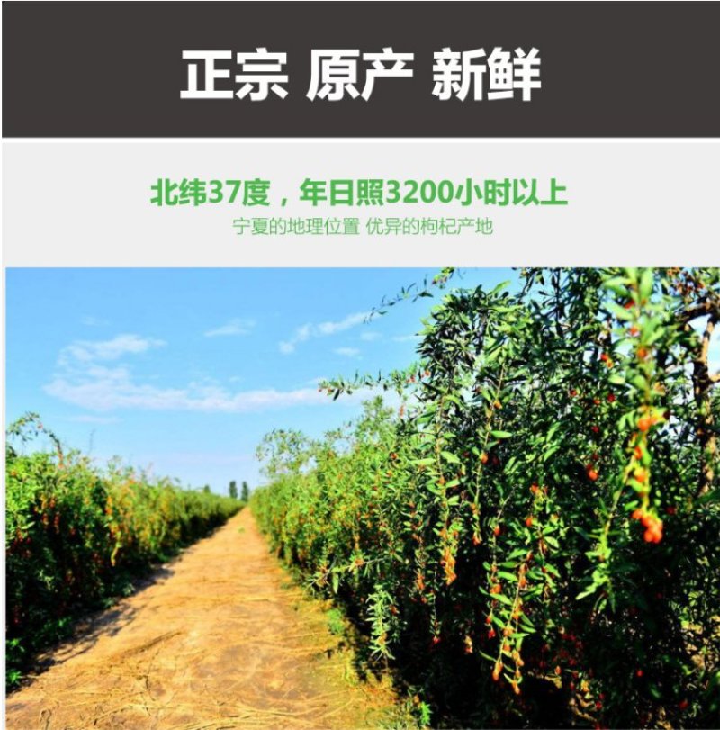 中宁枸杞子宁夏特级大粒头茬果养生补气250g/袋