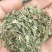 鸡娃草