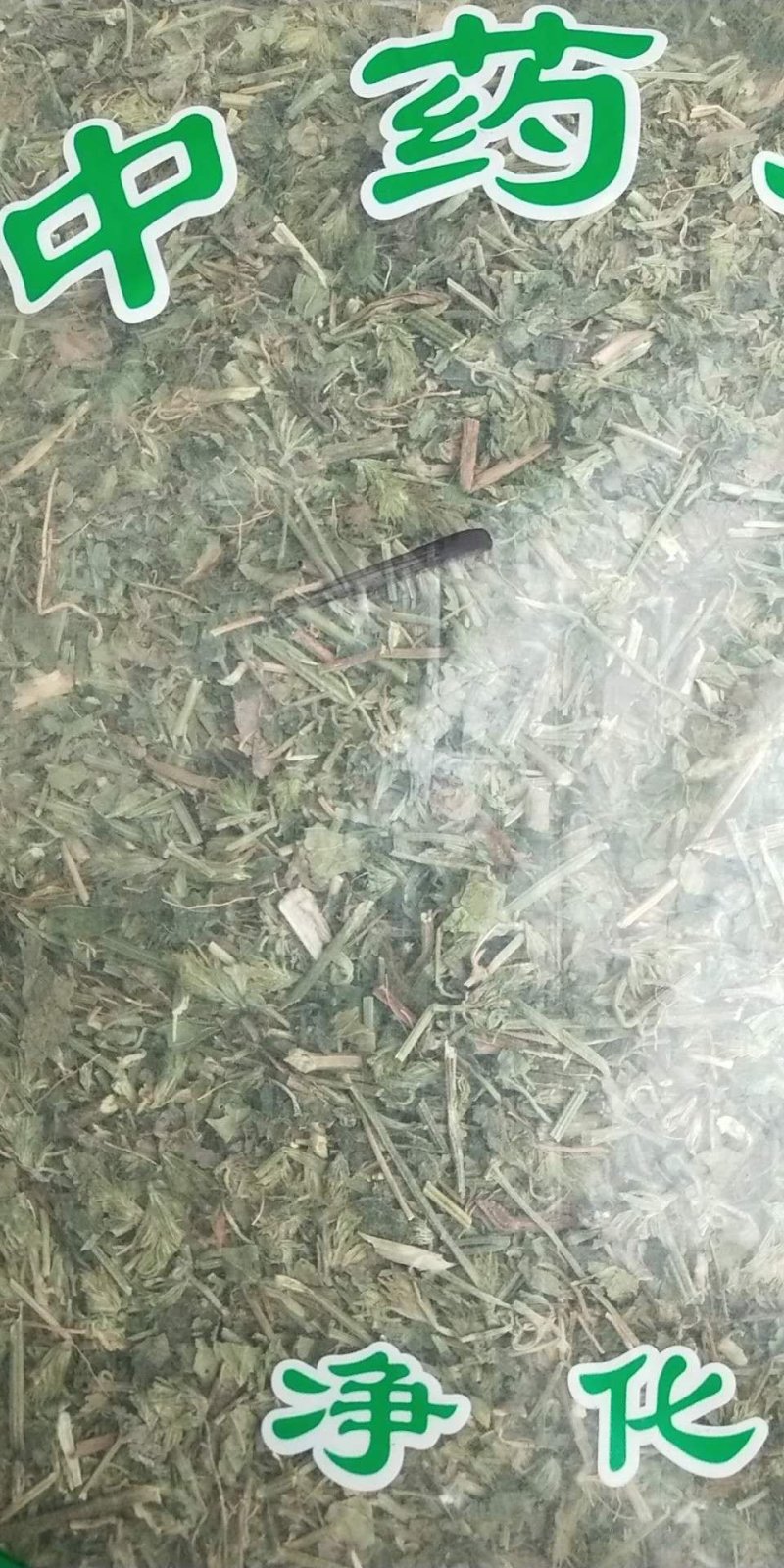 鸡娃草