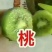 周至猕猴桃基地欢迎全国客商