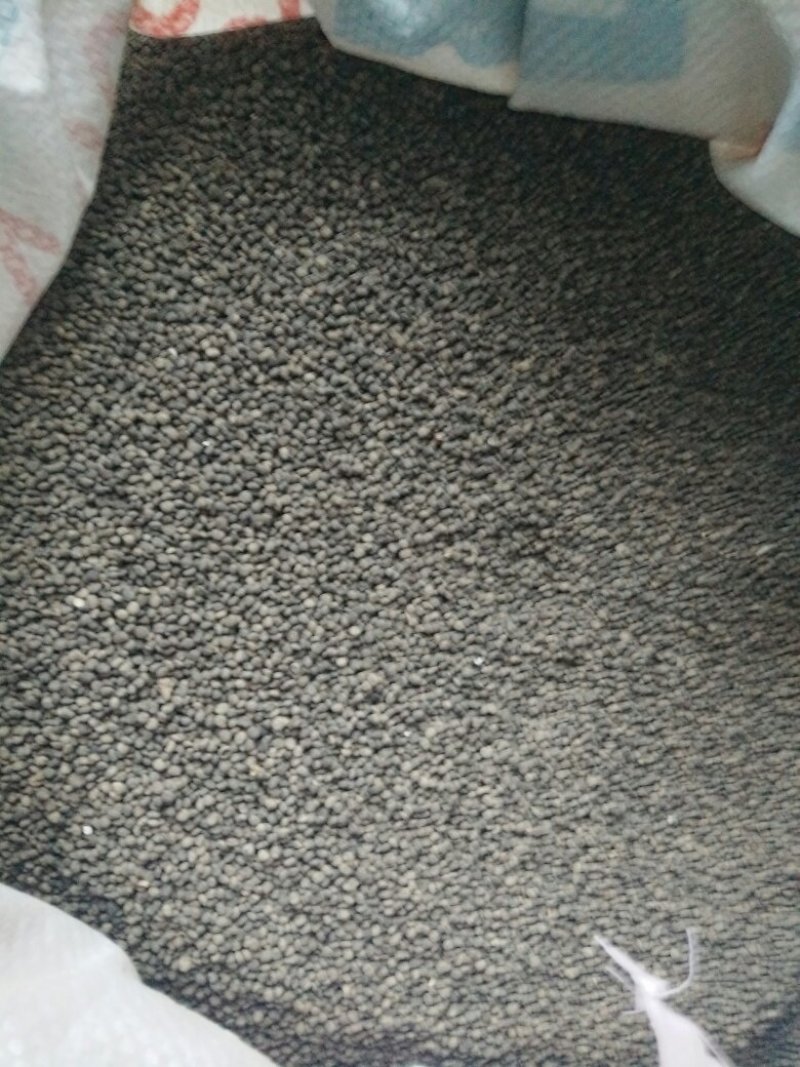 太子参干货，籽，秧苗