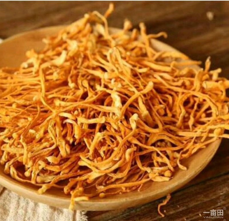 （产地直供）福建木姜子，油，品质上乘，全国发货
