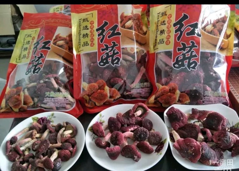 （产地直供）福建木姜子，油，品质上乘，全国发货