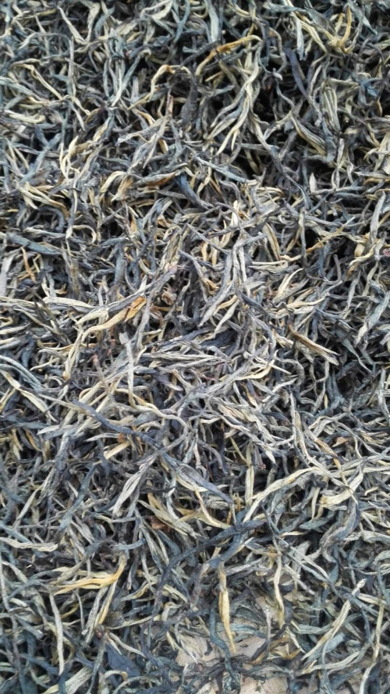 古树红茶