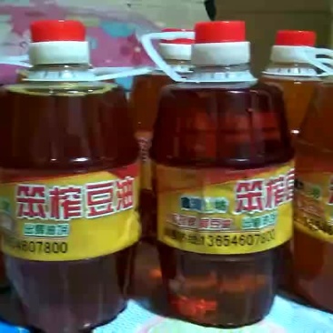 纯笨榨豆