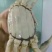 河蟹母蟹3.0两食用