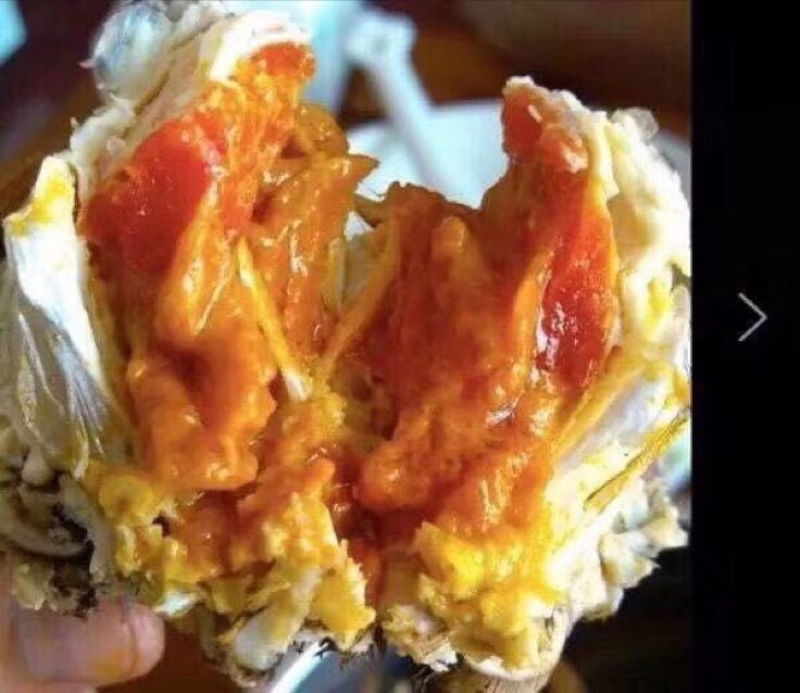 河蟹母蟹3.0两食用