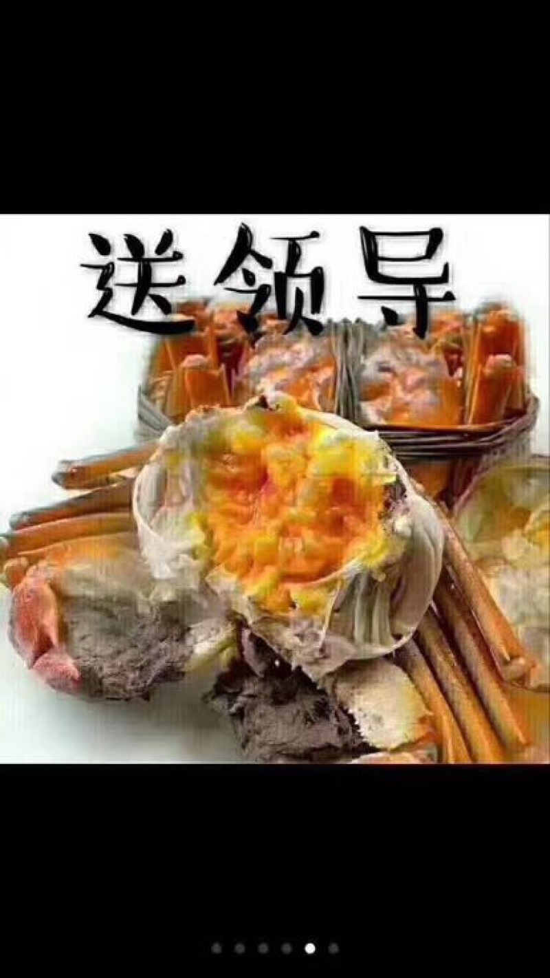 河蟹母蟹3.0两食用