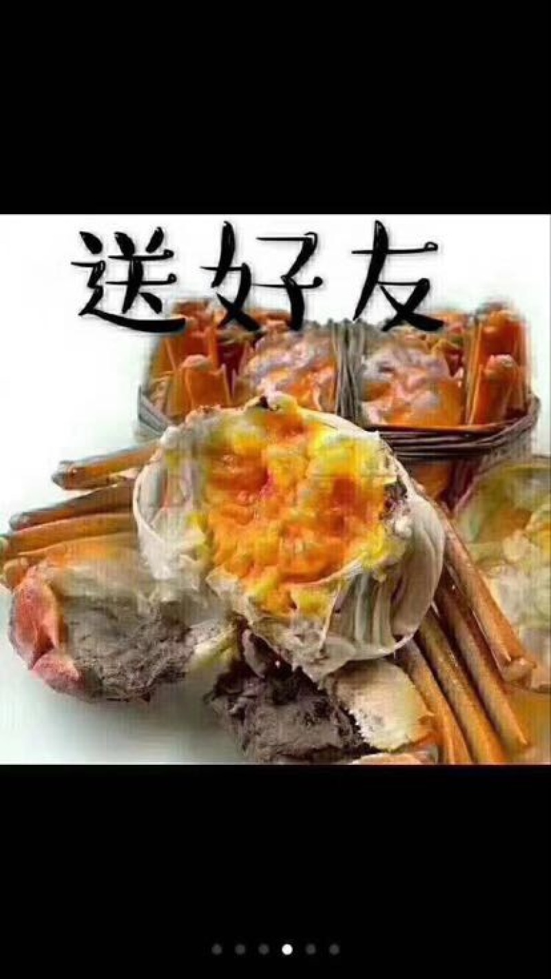 河蟹母蟹3.0两食用