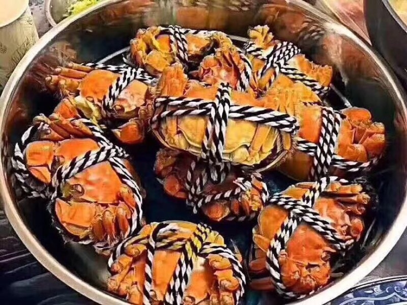 河蟹母蟹3.0两食用