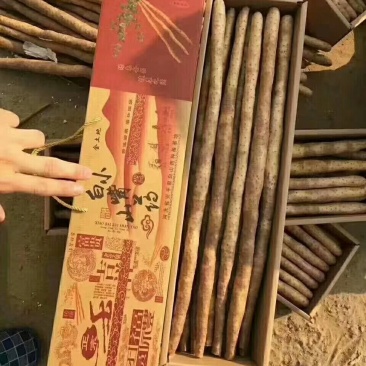 紫山药，白嘴，麻山药白玉