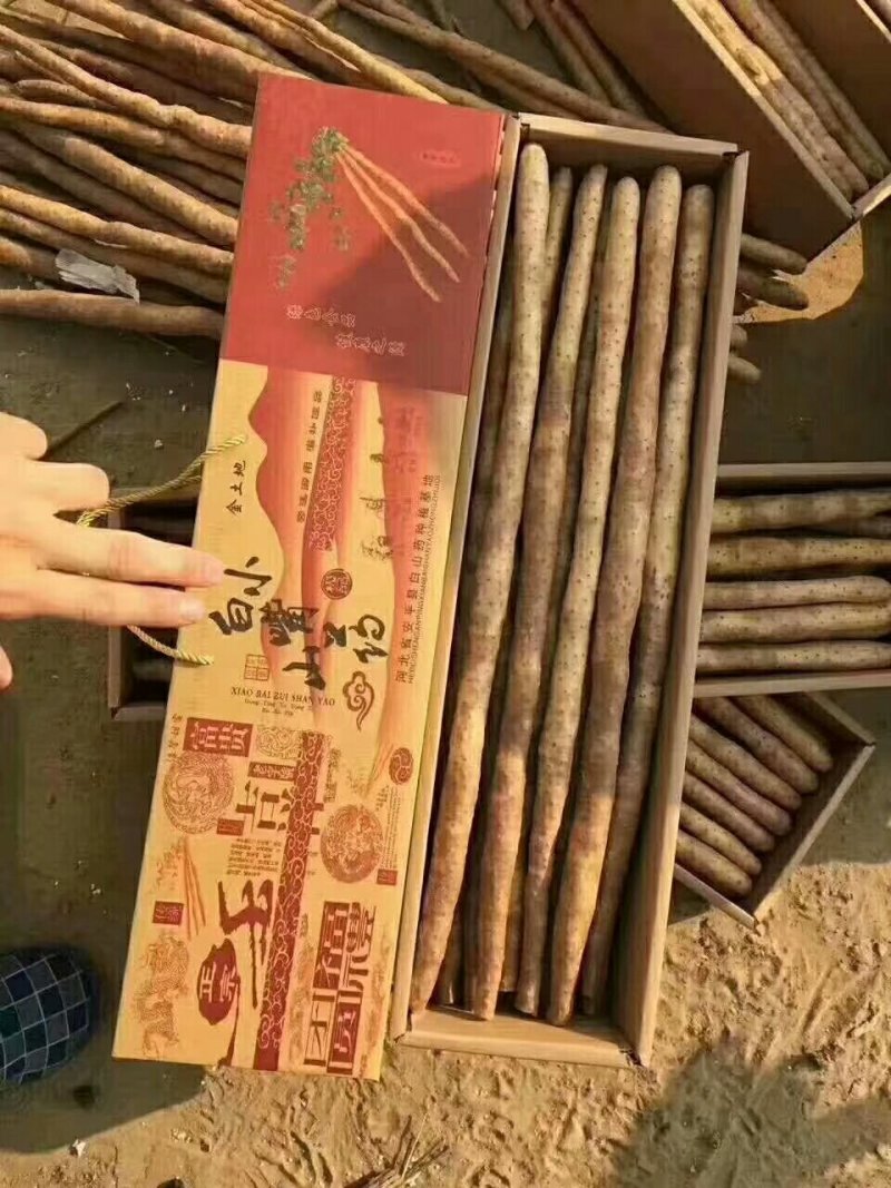 紫山药，白嘴，麻山药白玉