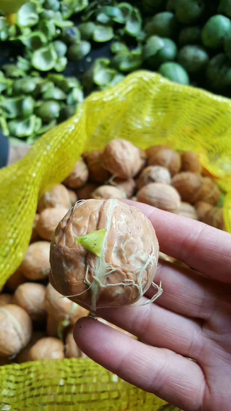 薄皮核桃