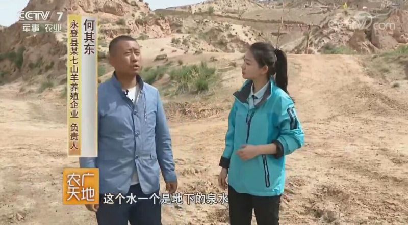七山羊肉