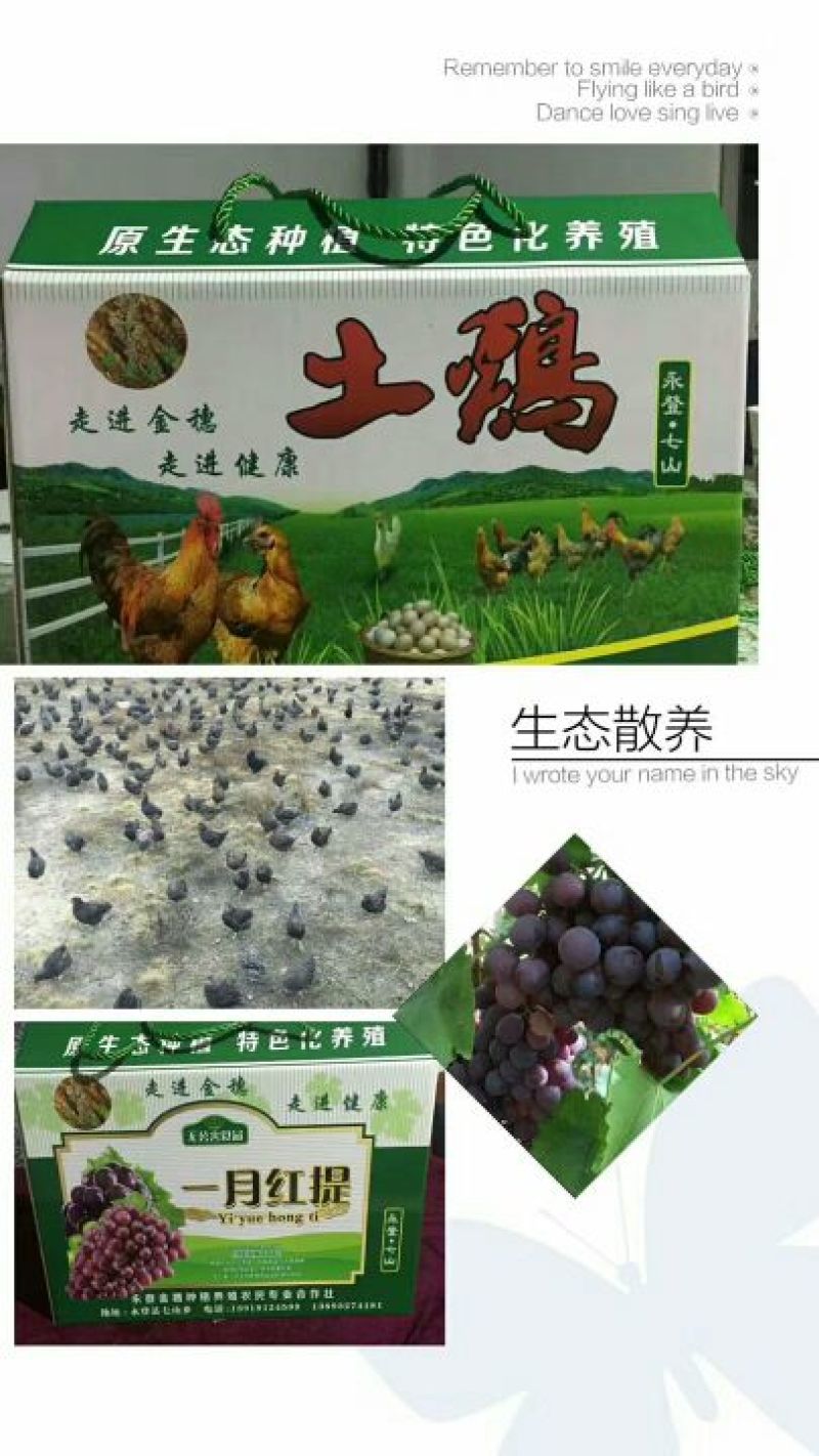 七山羊肉