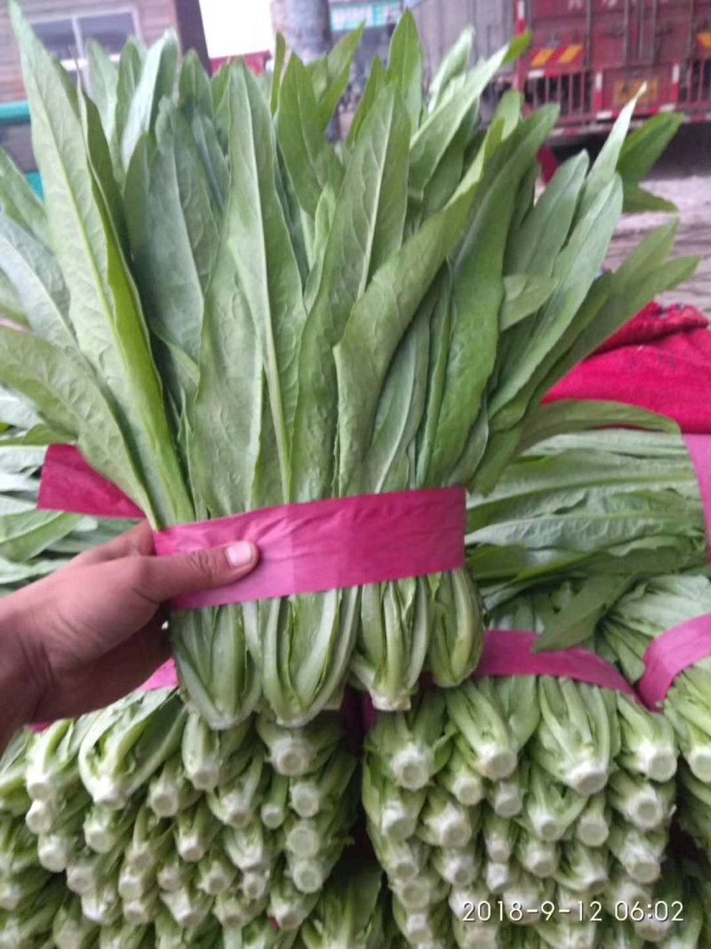美冠