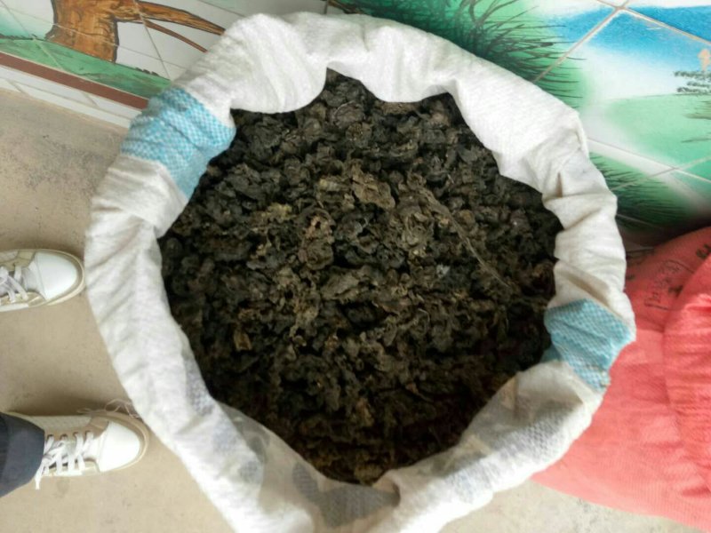 延安过筛地皮菜(地软)