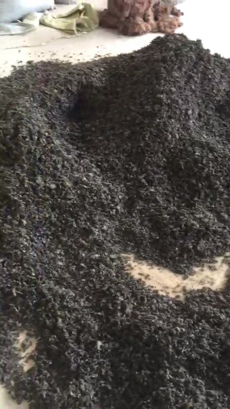 延安过筛地皮菜(地软)