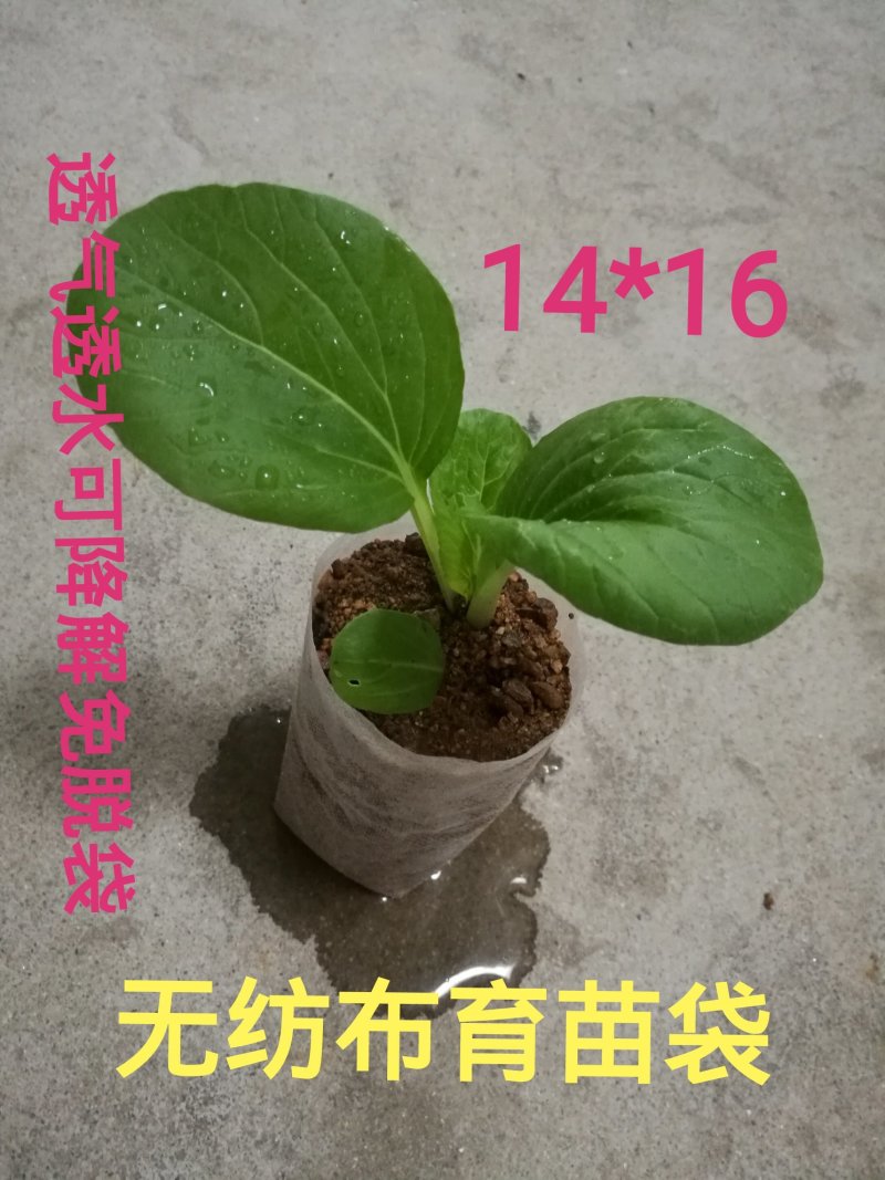无纺布育苗袋营养袋一次性可降解花盆果蔬育苗容器杯可降解